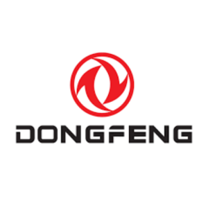 Dong